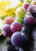 Betett a hordós borimport: Magyarország már nettó borimportőr 